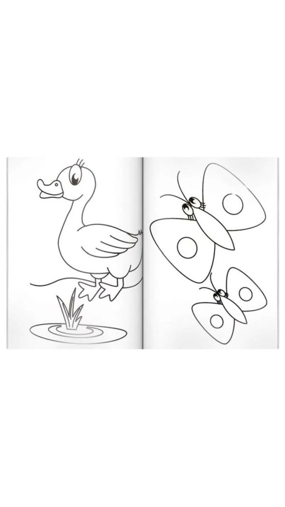 https://www.papelarteonline.com.br/image/cache/data/eftr/Img_ftr_rp_5274403-580x1031.JPG