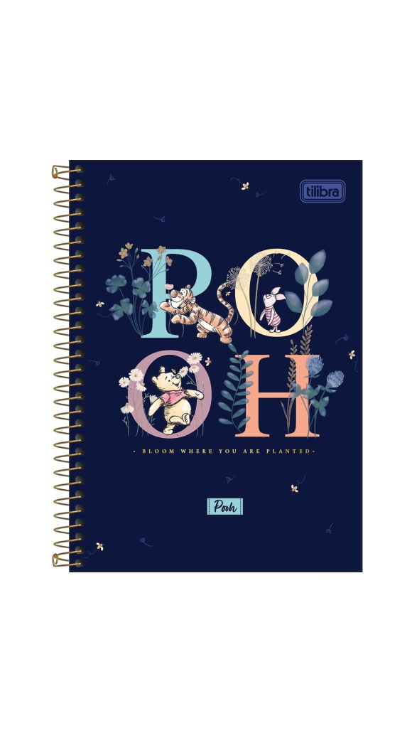 CADERNO 1/4  CAPA DURA ESPIRAL FEM.POOH 80F.2023 TILIBRA