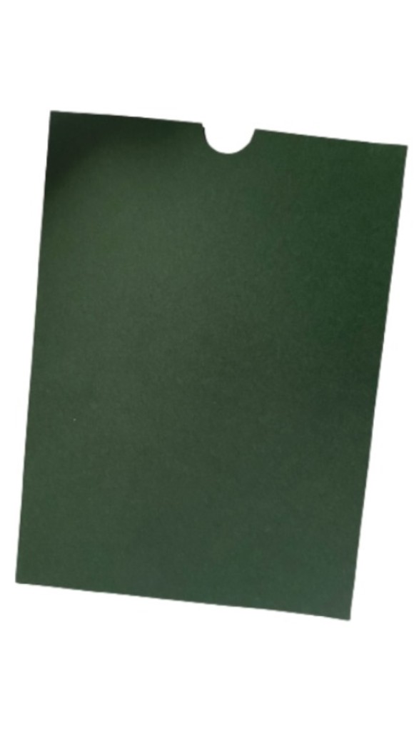 ENVELOPE LUVA VERDE MUSGO 15X21 PACOTE C/10 UNID.