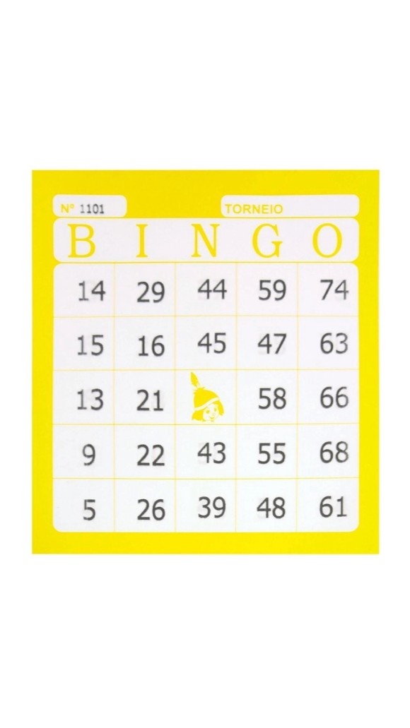 BINGO COLORIDO 100FLS 12X11 PCT C/15 BLOCOS TAMOIO