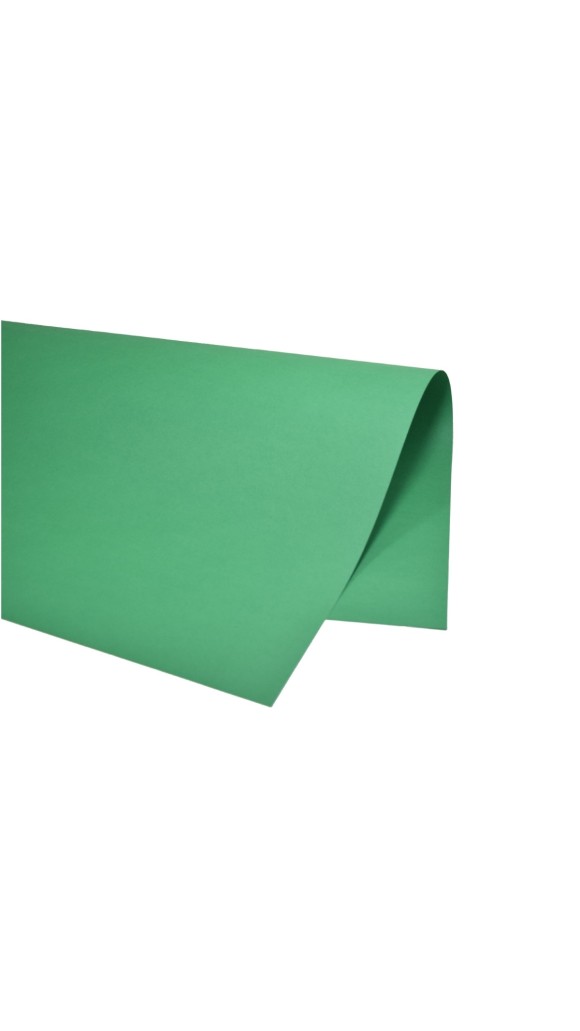 PAPEL COLOR-SET 48X66CM PCT C/20 FOLHAS VMP