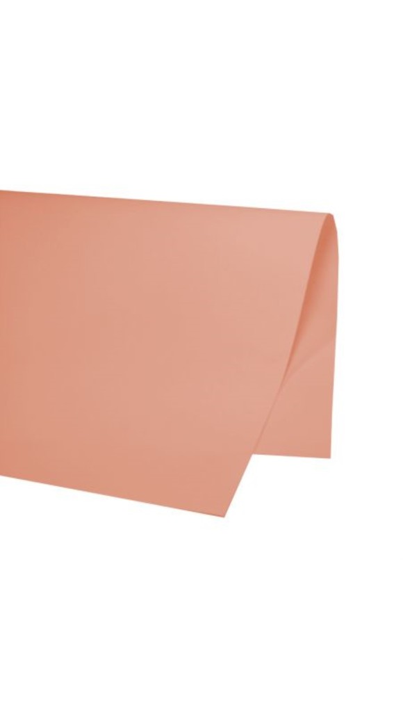 PAPEL COLOR-SET 48X66CM PCT C/20 FOLHAS VMP
