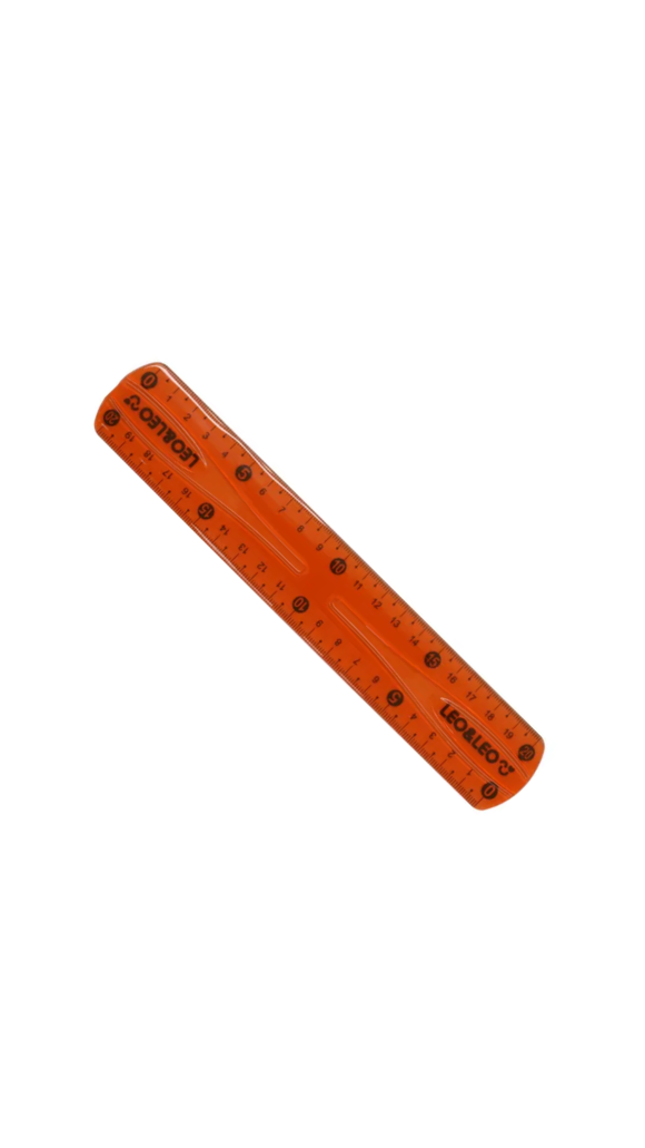 RÉGUA FLEXÍVEL 20CM CORES LEO&LEO