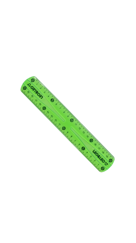 RÉGUA FLEXÍVEL 20CM CORES LEO&LEO