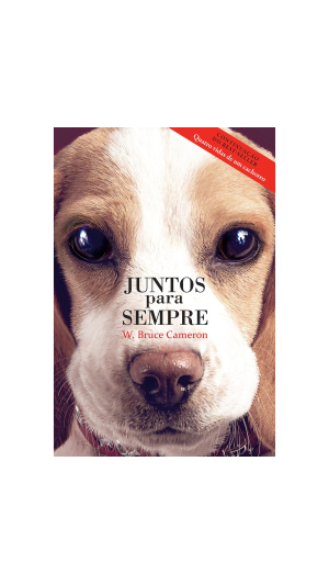 LIVRO JUNTOS PARA SEMPRE ED.HARPERCOLLINS BRASIL