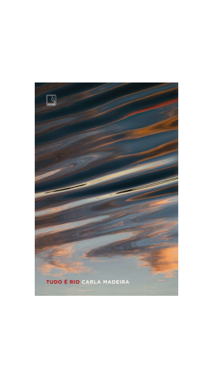 LIVRO TUDO É RIO ED.RECORD