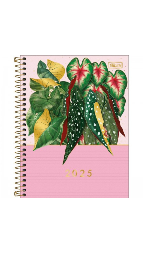 https://www.papelarteonline.com.br/image/cache/data/eftr/Img_ftr_rp_9426603-580x1031.PNG